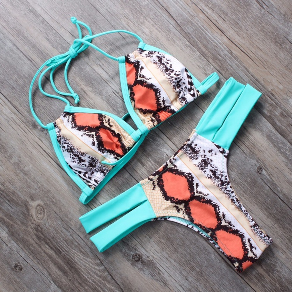 Blue Snake Print Bikini